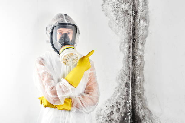 Mechanicsville, VA Mold Removal & Remediation Company